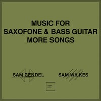 SAM GENDEL & SAM WILKES / Music For Saxofone & Bass Guitar More Songs（CD）