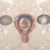 Eimi's anARTomy