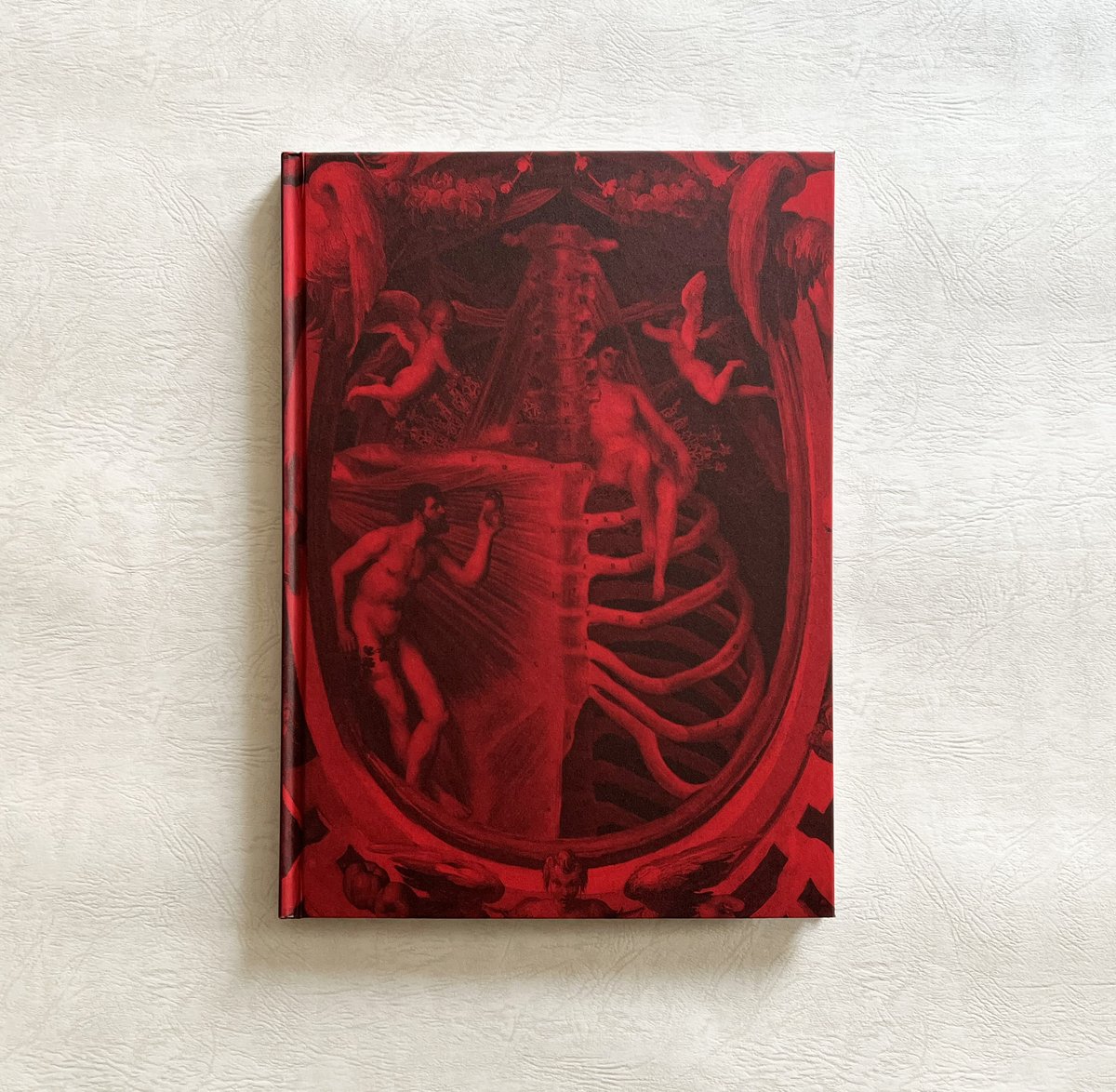 fit=scale-down,w=1200