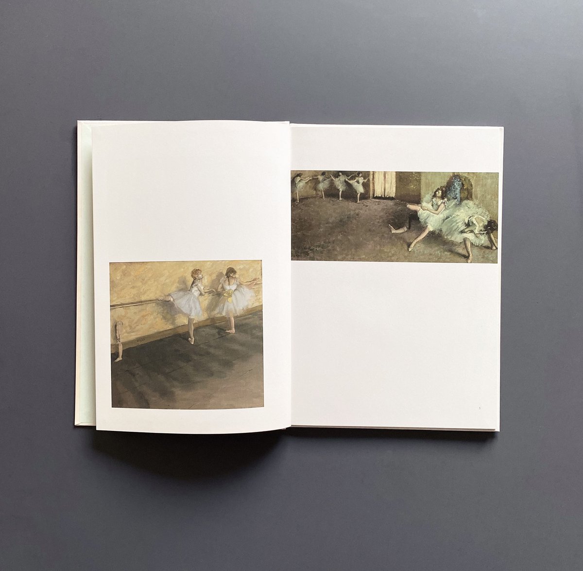 Art book/作品集「Eimi's anARTomy 102」 | Eimi's anAR