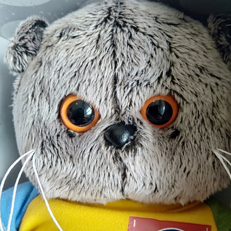 バーシックベイビーBB084 | ロシアちゃんコム