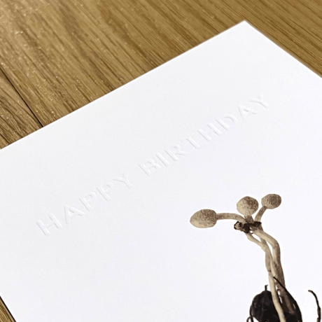 ＆NUT "CORDYCEPS[冬虫夏草]BIRTHDAYCARD"