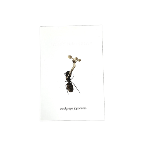＆NUT "CORDYCEPS[冬虫夏草]BIRTHDAYCARD"