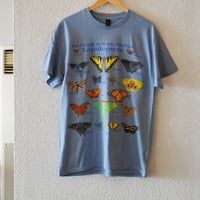ATLAS SCREEN PRINTING "Lepidoptera"
