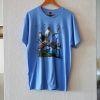 ATLAS SCREEN PRINTING "Florida Birds"