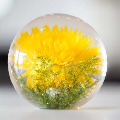 Hafod Grange "Paperweight" sizeS