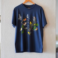 ATLAS SCREEN PRINTING "Eastern Birds"