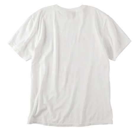 Chi-bee "dog-2" WHITE