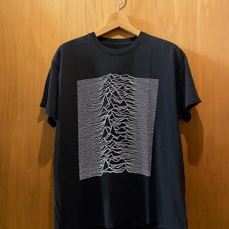 USA製 JOY DIVISION ジョイディヴィジョン Tシャツ ジョイ ディヴィジョン・JOY DIVISION・UNKNOWN PLEASURES・T