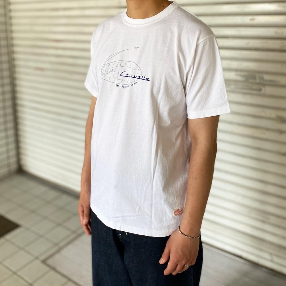 66373c17c650081ea6f86c0e