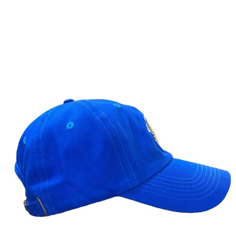 NEW YORK YOU ARE MY SUNSHINE CAP