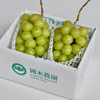 kousei　シャインマスカット10房 楽天市場】シャインマスカット 2房(1.1kg) 2房(1.2kg) 3房(1.6kg