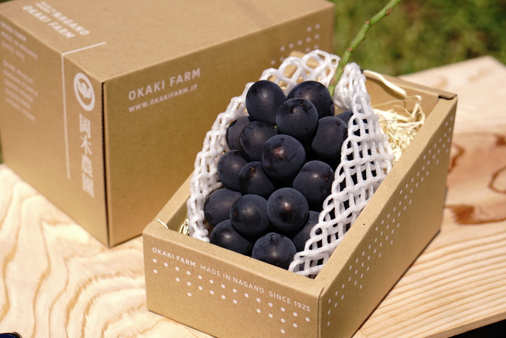 数量限定】特選ナガノパープル1房 | okakifarm's STORE