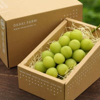 10月発送】シャインマスカット6房セット | okakifarm's STORE
