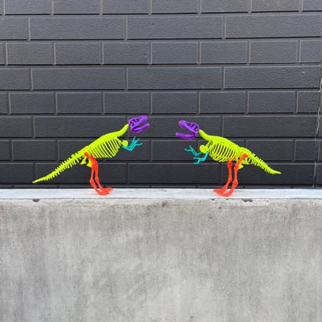 Ein-O Science "TYRANNOSAURUS SKELETON"