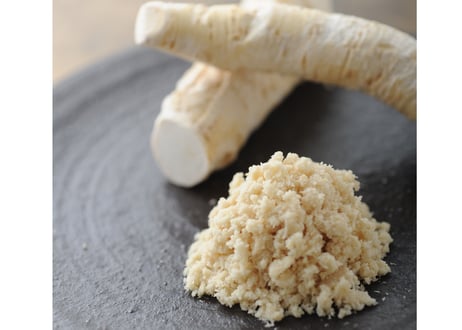 北の山わさび 根茎 / Fresh root of Yamawasabi Sサイズ(25～39g/1本)５パック