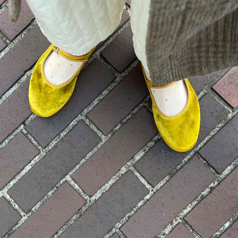 Sciuscià LADYS SAMPLE_MIMOSA / TRAGARA 39 | kochi