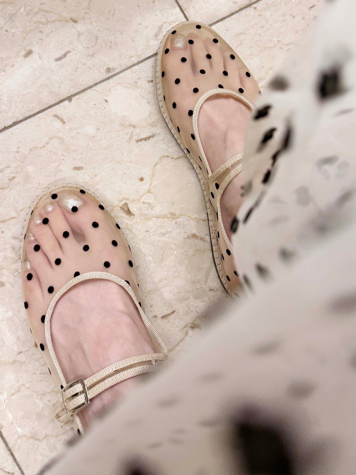 Sciuscià LADYS_CREAMY BISCOTTI / MARYJANE 36 |