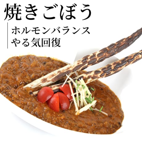 【インドの伝統予防医学 アーユルヴェーダの考えに基づく体質改善カリー】アムリットカリーのセット（5種類＊各1食 詰め合わせ）