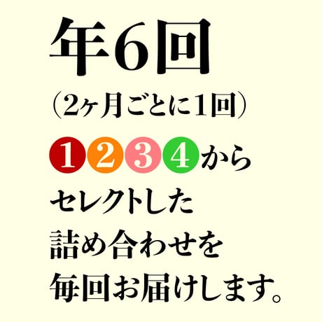 本場インドの味をご家庭にお届け！【年6回コース】 ※送料込み（北海道、沖縄県、離島は除く）