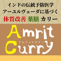 【インドの伝統予防医学 アーユルヴェーダの考えに基づく体質改善カリー】アムリットカリーのセット（5種類＊各1食 詰め合わせ）