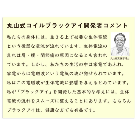 丸山式コイル ブラックアイ 2個入（貼替シール10枚付）