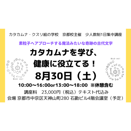 丸山修寛 治療家のための電磁波セミナーDVD 丸山修寛 治療家のための電磁波セミナー、DVD - メルカリ