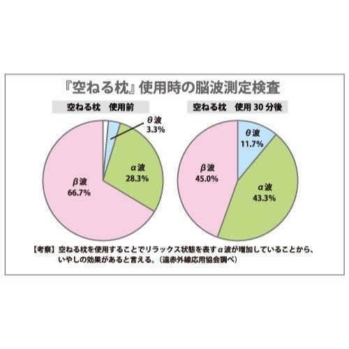 【送料無料】空ねる枕（くうねるまくら） 〜静電気除去機能付き枕〜