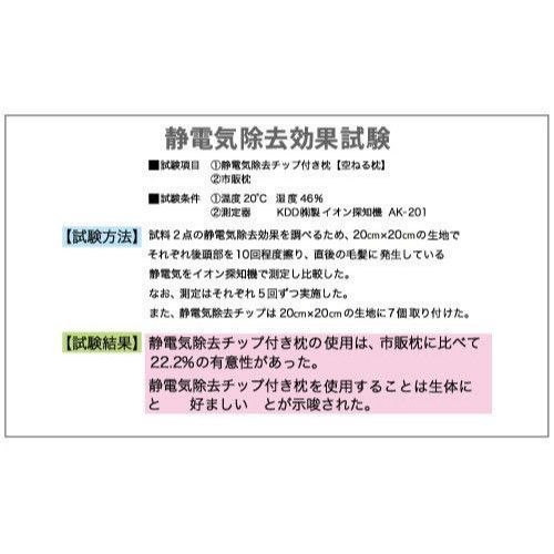 【送料無料】空ねる枕(くうねるまくら) 〜静電気除去機能付き枕〜