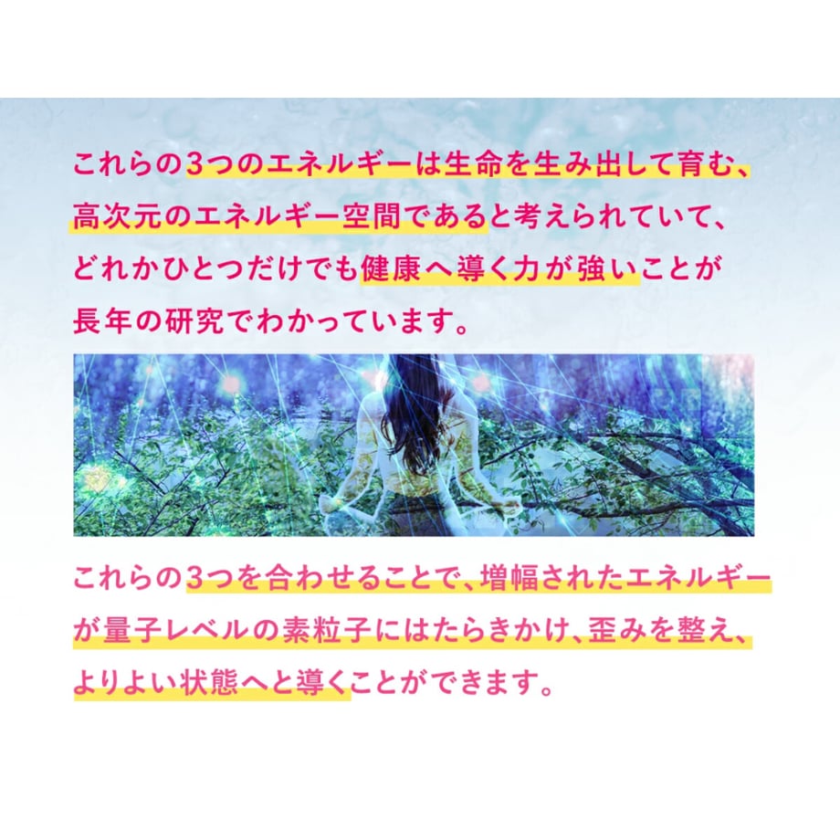 6538835153ee8d002a43620e