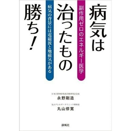 副作用ゼロのエネルギー医学 病気は治ったもの勝ち！（静風社）