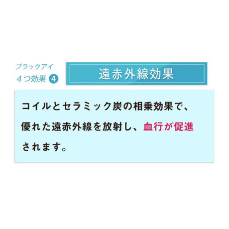 丸山式コイル ブラックアイ 2個入（貼替シール10枚付）