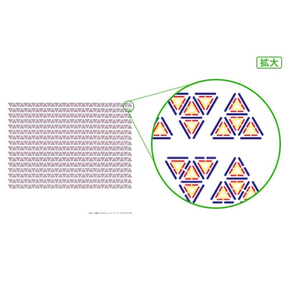 5d5bc9df0838290832b693b4