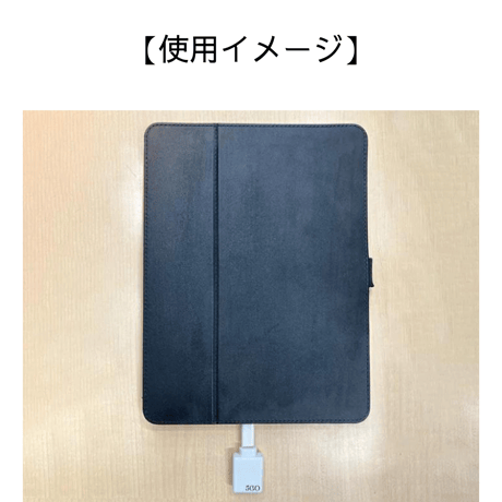 Lightning TypeC変換（5GO Lightning用）