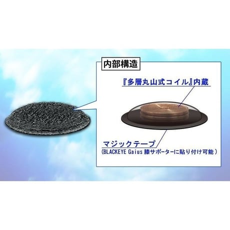 多層丸山式チップ1個