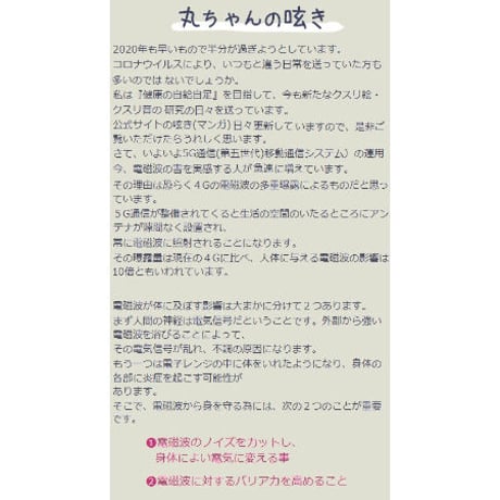 電磁波ブロッカー MAXmini 5G×2枚セット