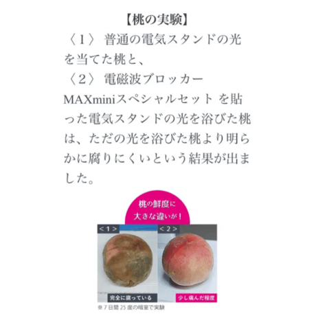 電磁波ブロッカー MAXmini スペシャルセット