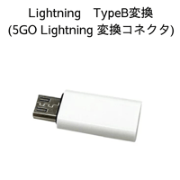 Lightning TypeB変換（5GO Lightning用）