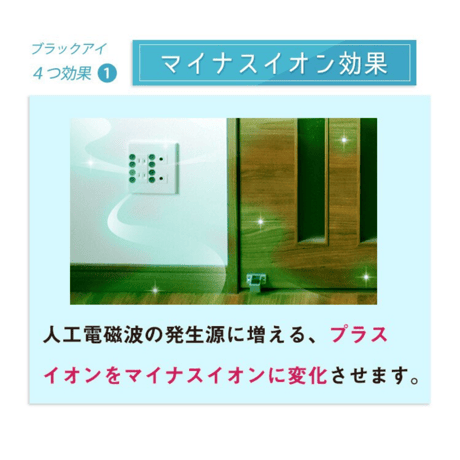 丸山式コイル ブラックアイ 2個入（貼替シール10枚付）