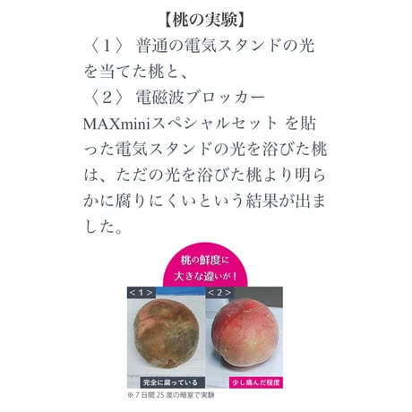 電磁波ブロッカー MAXmini オプションセット