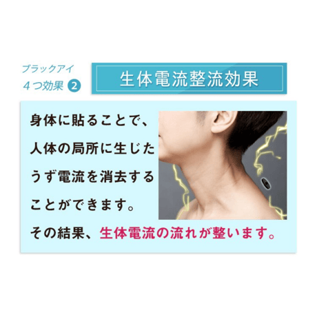 丸山式コイル ブラックアイ 2個入（貼替シール10枚付）