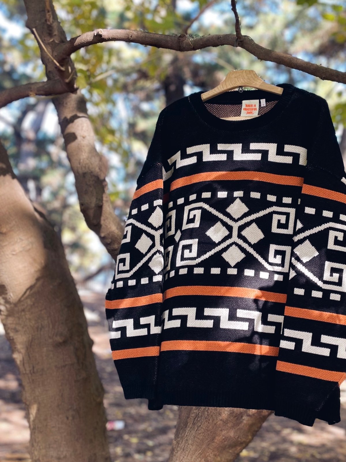 HAVE A GRATEFUL DAY / DUDE INN 