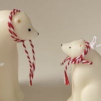 polar bear family