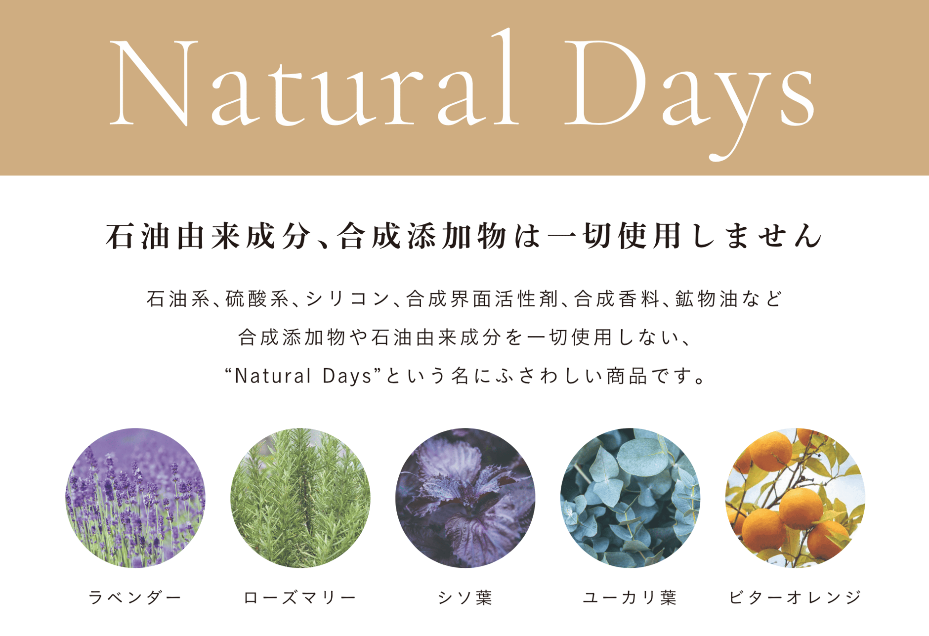 自然由来シャンプーNATURAL DAYS 公式通販