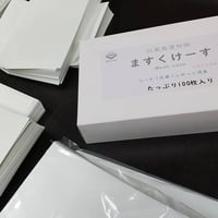 抗菌美濃和紙　ますくけーす（100枚入）