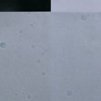 リバースペーパー　俄　薄花 (50g)