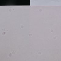 リバースペーパー　俄　撫子 (80g)