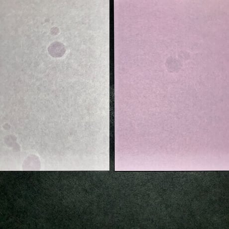 懐紙　俄　撫子