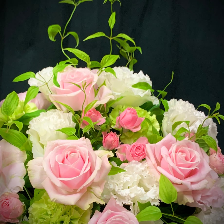 5ec67da034ef0135827ea4d6