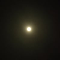 ポーション治療